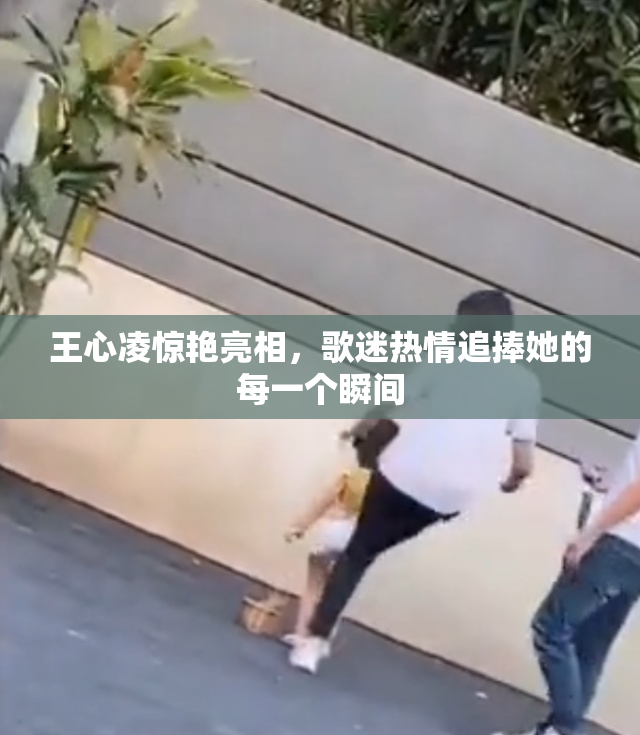 王心凌惊艳亮相，歌迷热情追捧她的每一个瞬间