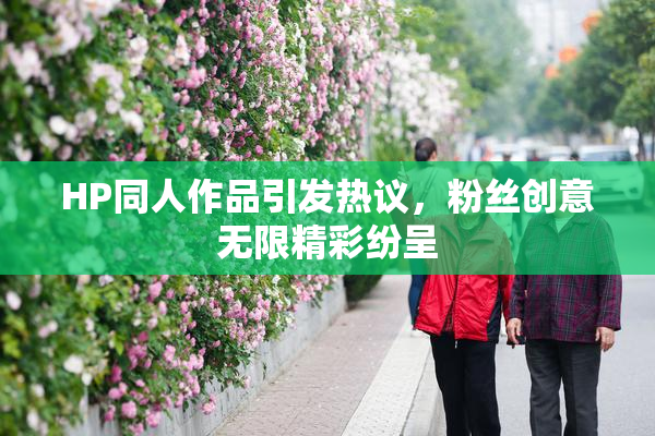 HP同人作品引发热议，粉丝创意无限精彩纷呈
