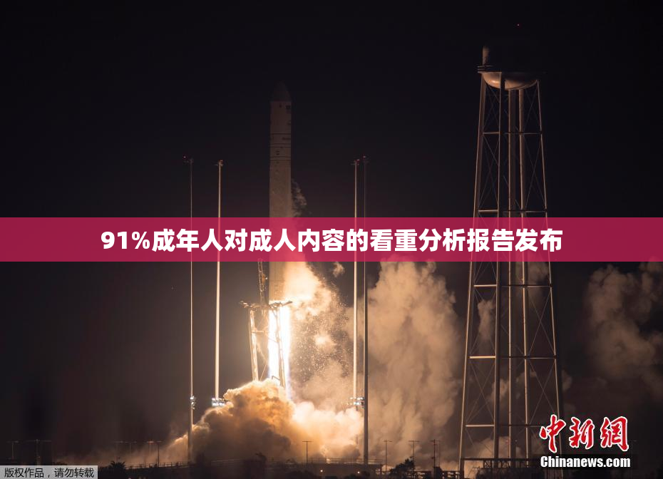 91%成年人对成人内容的看重分析报告发布