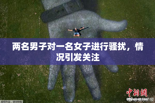 两名男子对一名女子进行骚扰，情况引发关注