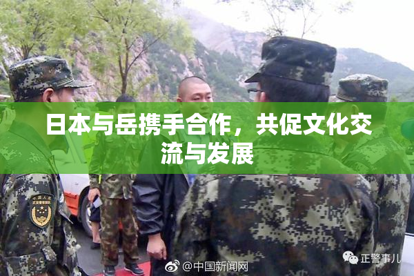 日本与岳携手合作，共促文化交流与发展