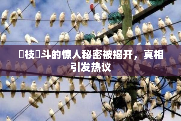 狛枝凪斗的惊人秘密被揭开，真相引发热议