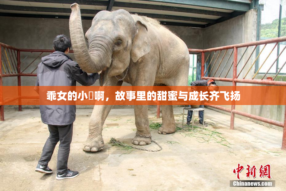 乖女的小泬啊，故事里的甜蜜与成长齐飞扬