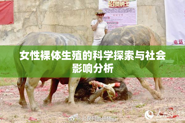 女性裸体生殖的科学探索与社会影响分析