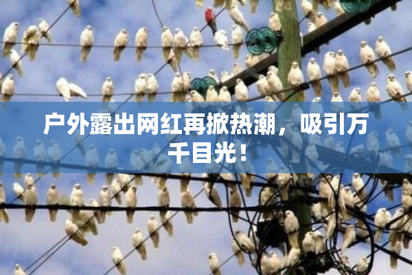 户外露出网红再掀热潮，吸引万千目光！