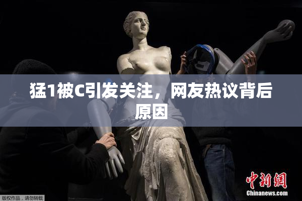 猛1被C引发关注，网友热议背后原因