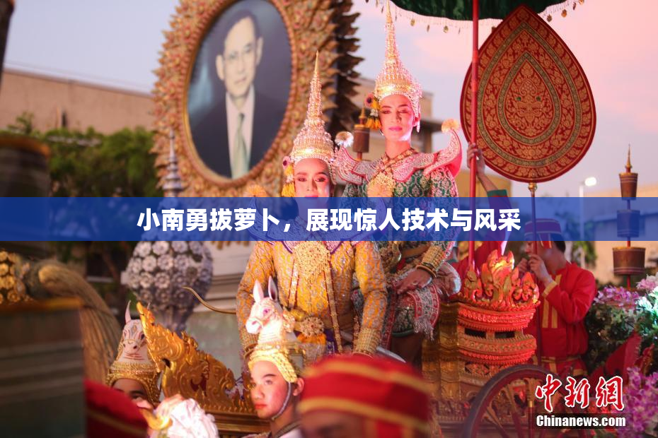小南勇拔萝卜，展现惊人技术与风采