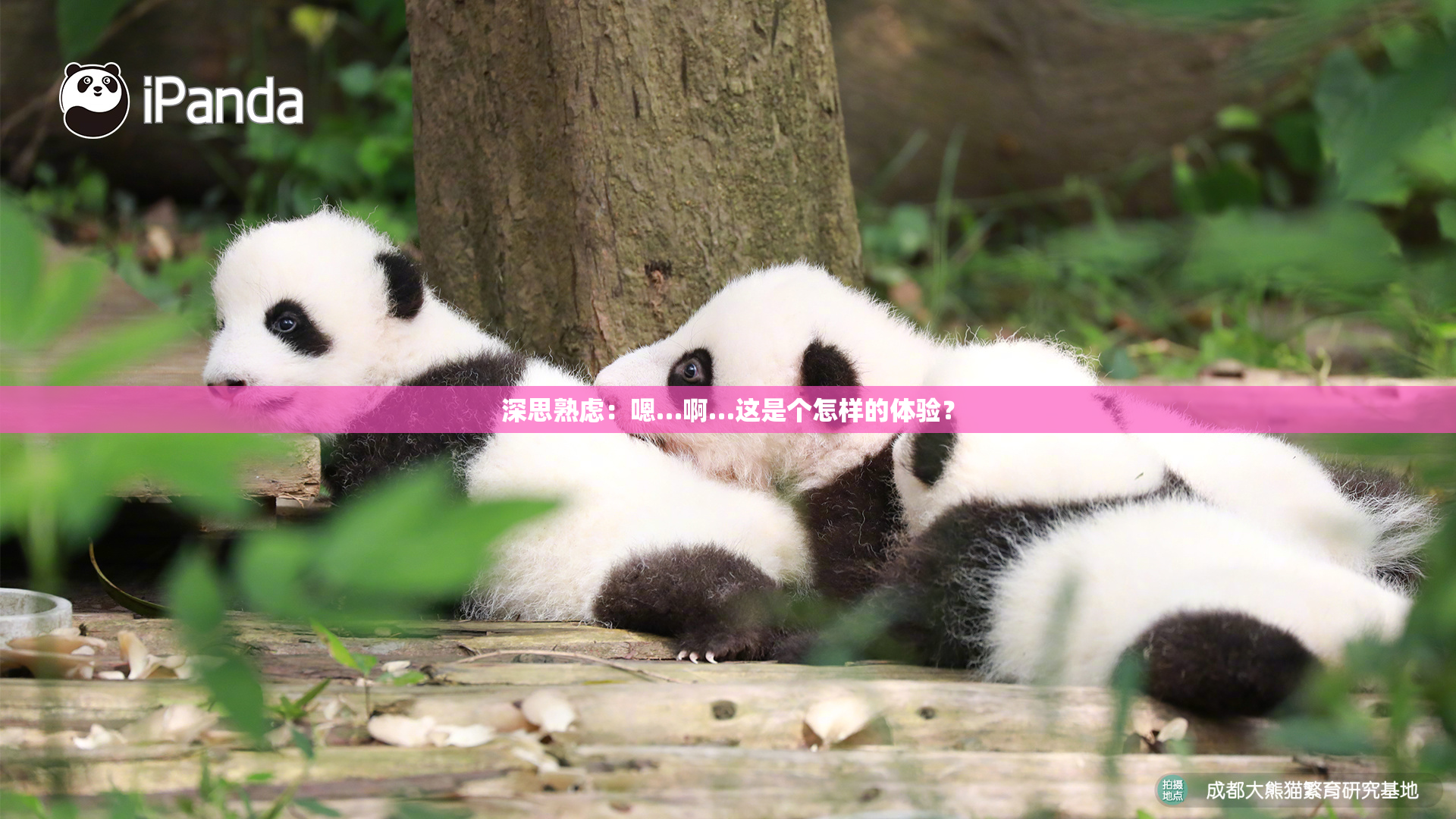深思熟虑：嗯…啊…这是个怎样的体验？