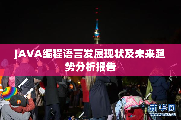 JAVA编程语言发展现状及未来趋势分析报告