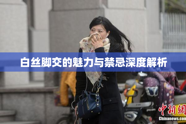 白丝脚交的魅力与禁忌深度解析