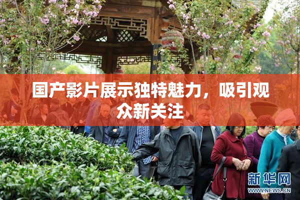 国产影片展示独特魅力，吸引观众新关注