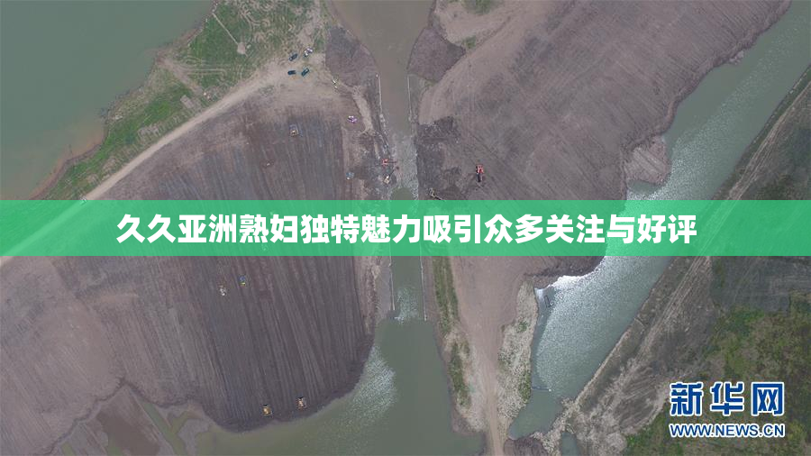 久久亚洲熟妇独特魅力吸引众多关注与好评