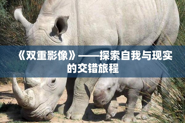《双重影像》——探索自我与现实的交错旅程