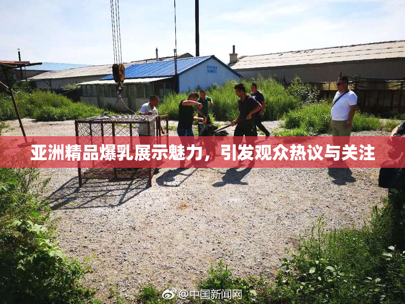 亚洲精品爆乳展示魅力，引发观众热议与关注