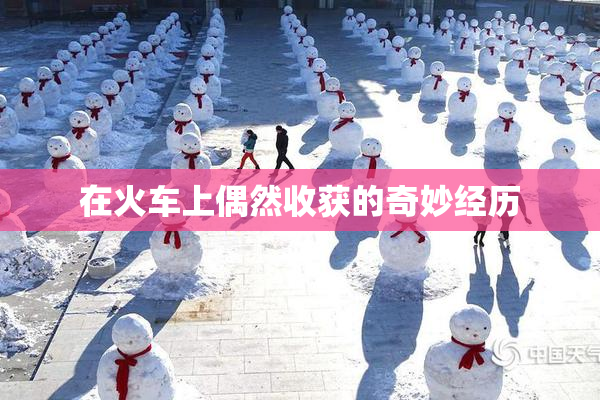 在火车上偶然收获的奇妙经历