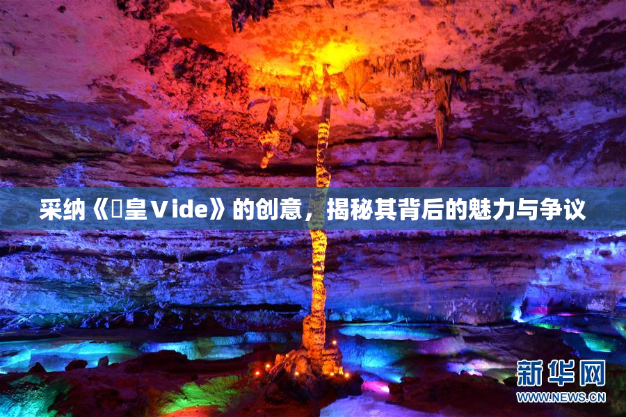 采纳《嘼皇Ⅴide》的创意，揭秘其背后的魅力与争议