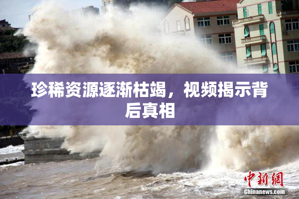 珍稀资源逐渐枯竭，视频揭示背后真相