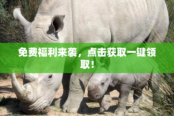 免费福利来袭，点击获取一键领取！