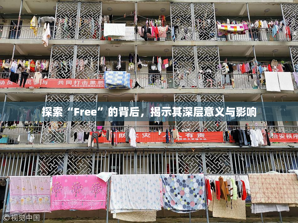 探索“Free”的背后，揭示其深层意义与影响
