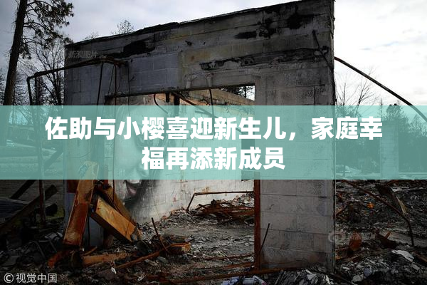 佐助与小樱喜迎新生儿，家庭幸福再添新成员