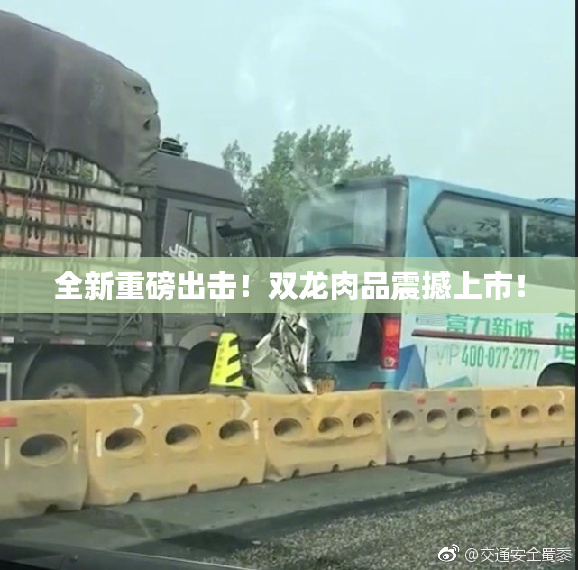 全新重磅出击！双龙肉品震撼上市！