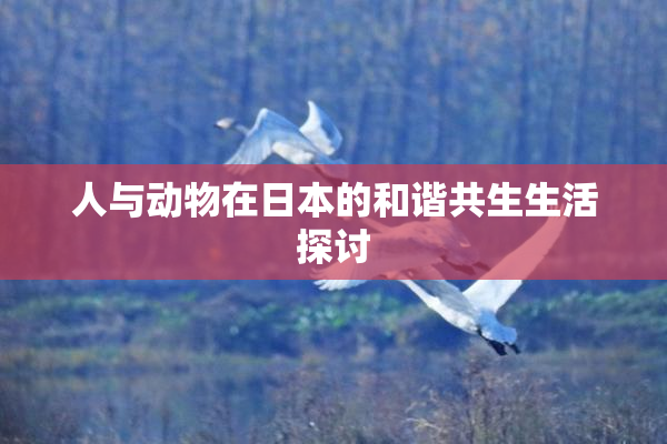 人与动物在日本的和谐共生生活探讨