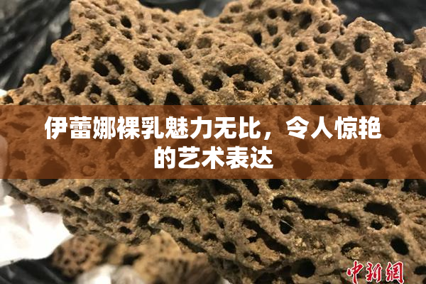 伊蕾娜裸乳魅力无比，令人惊艳的艺术表达
