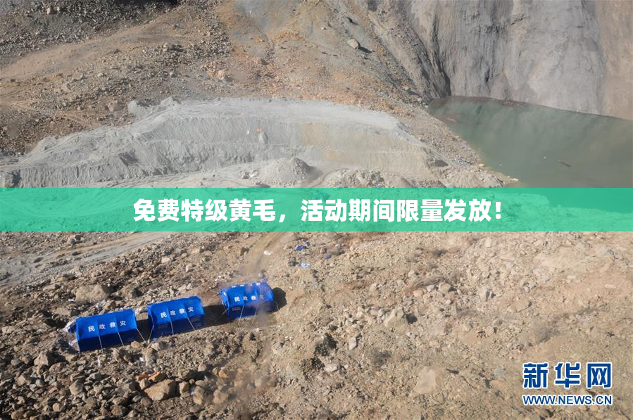免费特级黄毛，活动期间限量发放！