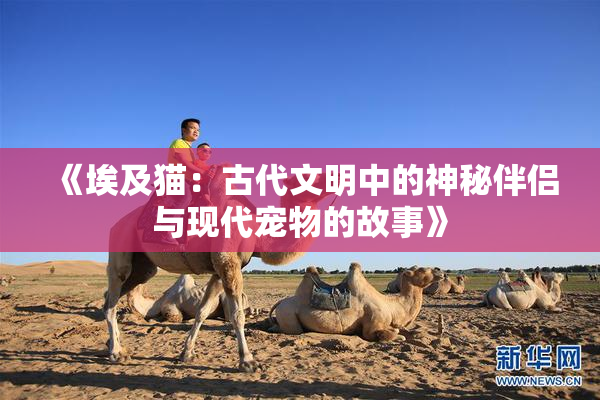 《埃及猫：古代文明中的神秘伴侣与现代宠物的故事》