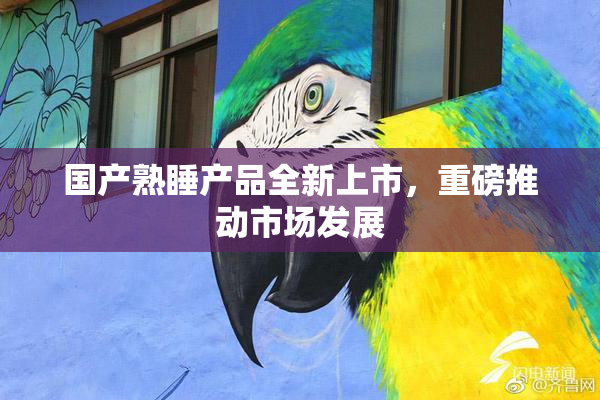 国产熟睡产品全新上市，重磅推动市场发展