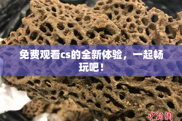 免费观看cs的全新体验，一起畅玩吧！