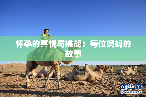 怀孕的喜悦与挑战：每位妈妈的故事