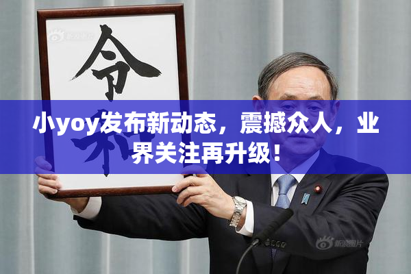 小yoy发布新动态，震撼众人，业界关注再升级！