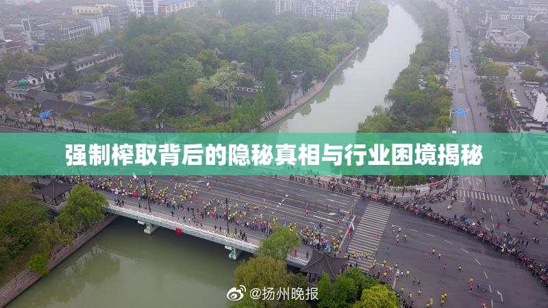 强制榨取背后的隐秘真相与行业困境揭秘