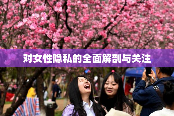 对女性隐私的全面解剖与关注