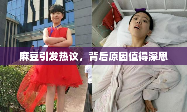 麻豆引发热议，背后原因值得深思