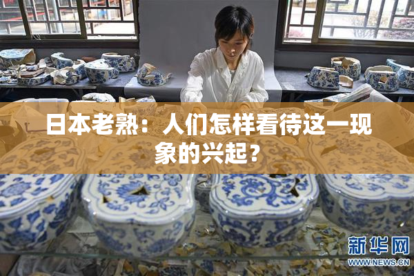 日本老熟：人们怎样看待这一现象的兴起？