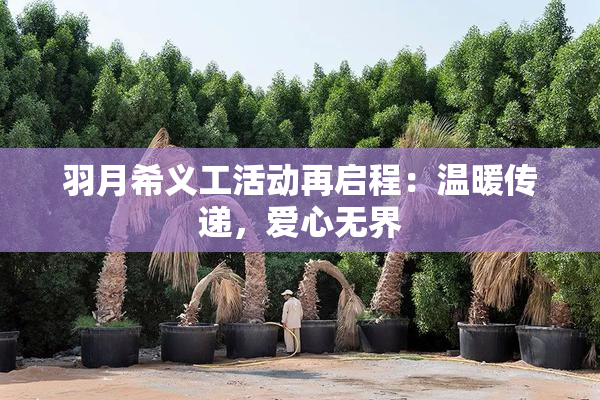 羽月希义工活动再启程：温暖传递，爱心无界