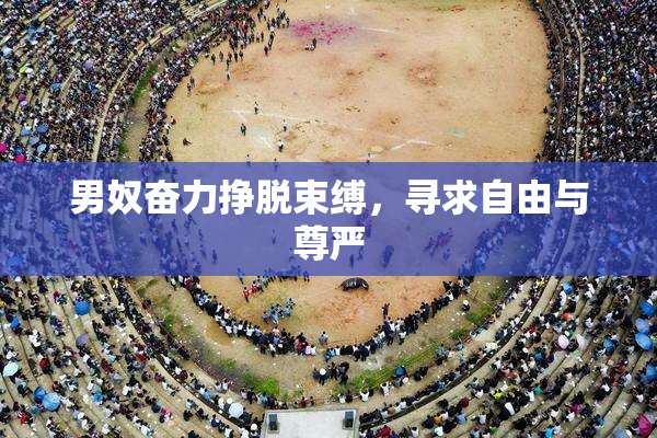 男奴奋力挣脱束缚，寻求自由与尊严