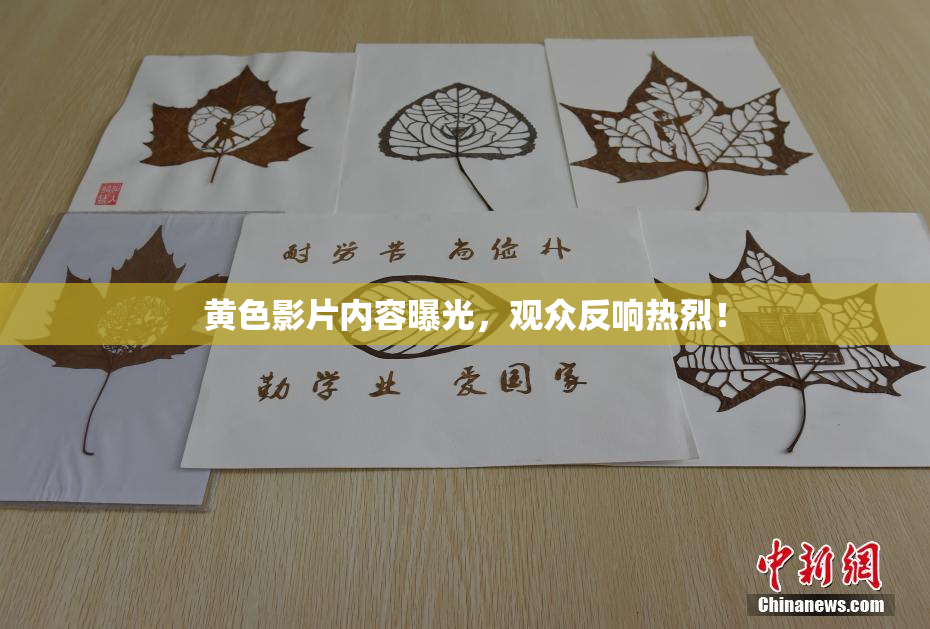 黄色影片内容曝光，观众反响热烈！