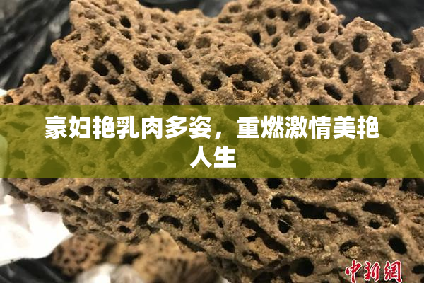 豪妇艳乳肉多姿，重燃激情美艳人生