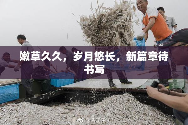 嫩草久久，岁月悠长，新篇章待书写