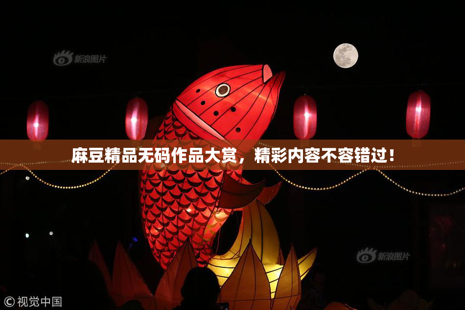 麻豆精品无码作品大赏，精彩内容不容错过！