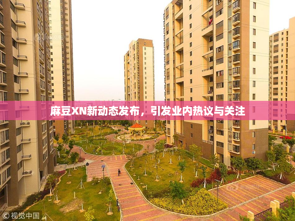 麻豆XN新动态发布，引发业内热议与关注