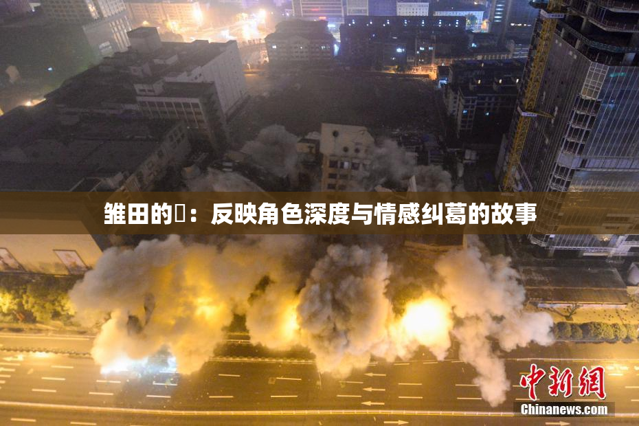 雏田的婬：反映角色深度与情感纠葛的故事