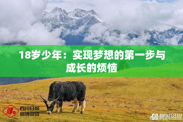 18岁少年：实现梦想的第一步与成长的烦恼