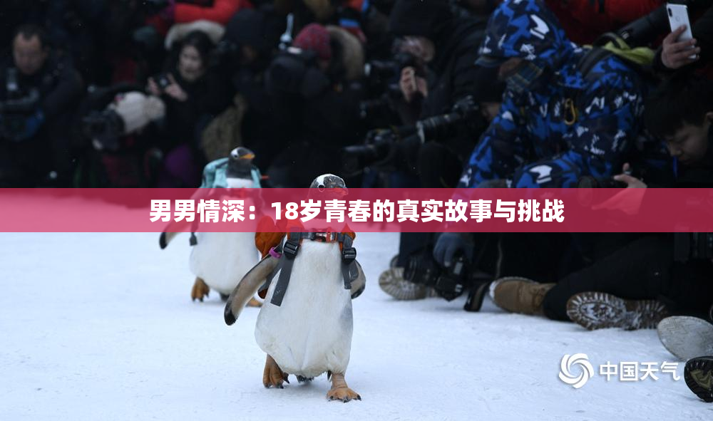 男男情深：18岁青春的真实故事与挑战