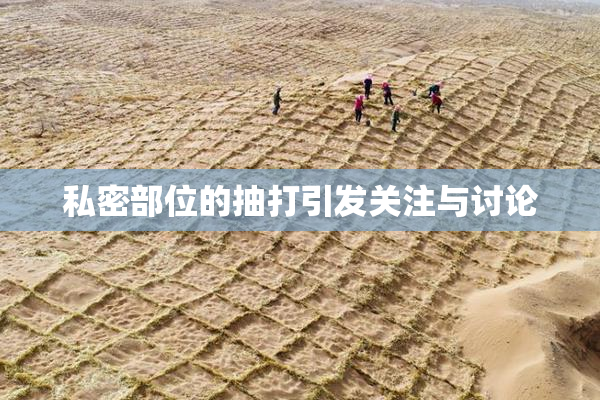 私密部位的抽打引发关注与讨论