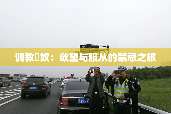 调教婬奴：欲望与服从的禁忌之旅