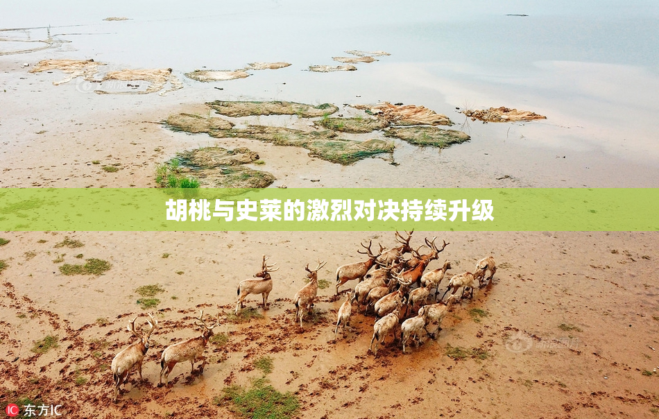 胡桃与史莱的激烈对决持续升级